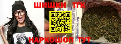 индика Пугачёв