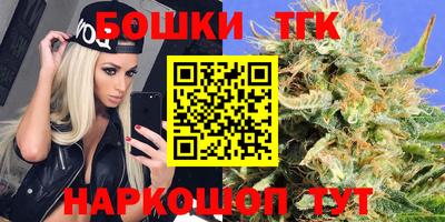 индика Пугачёв