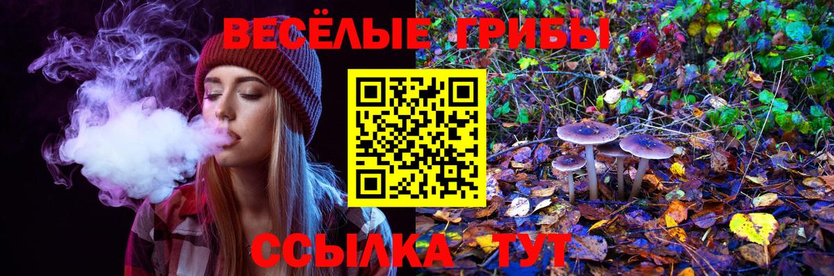 Полевской  Псилоцибиновые грибы Psilocybe  Вход с VPN 